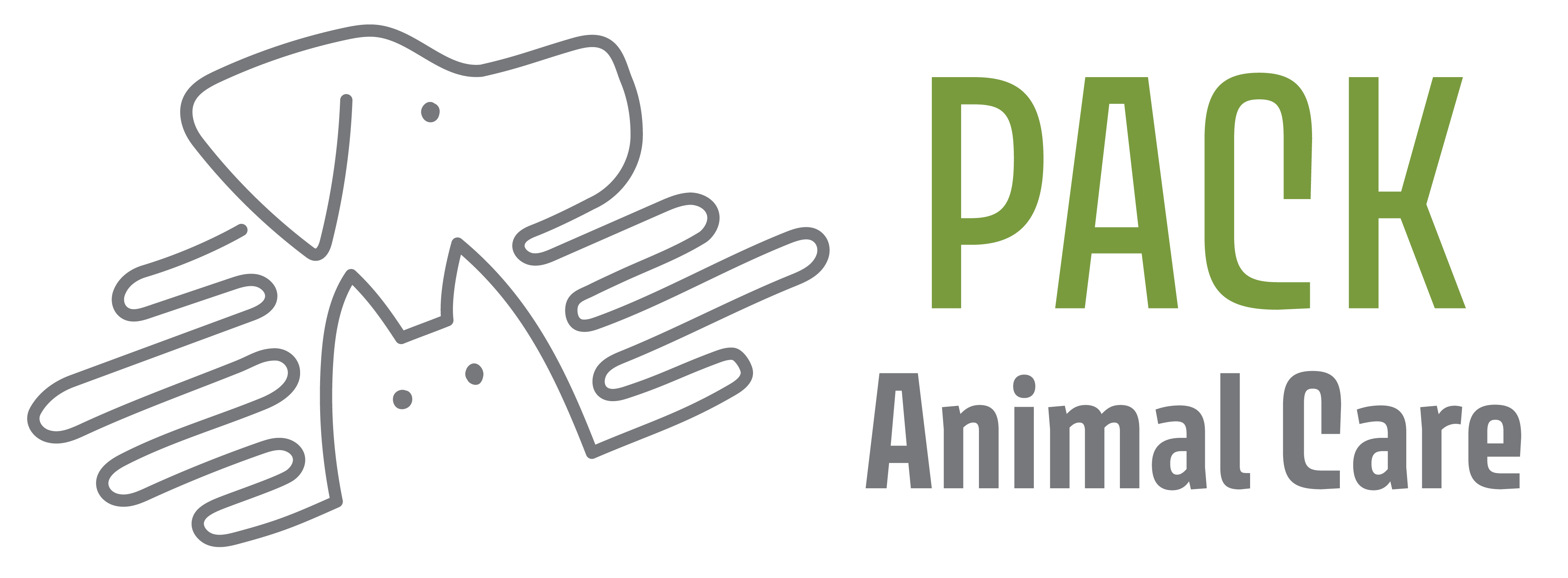 pack-logo-splash1